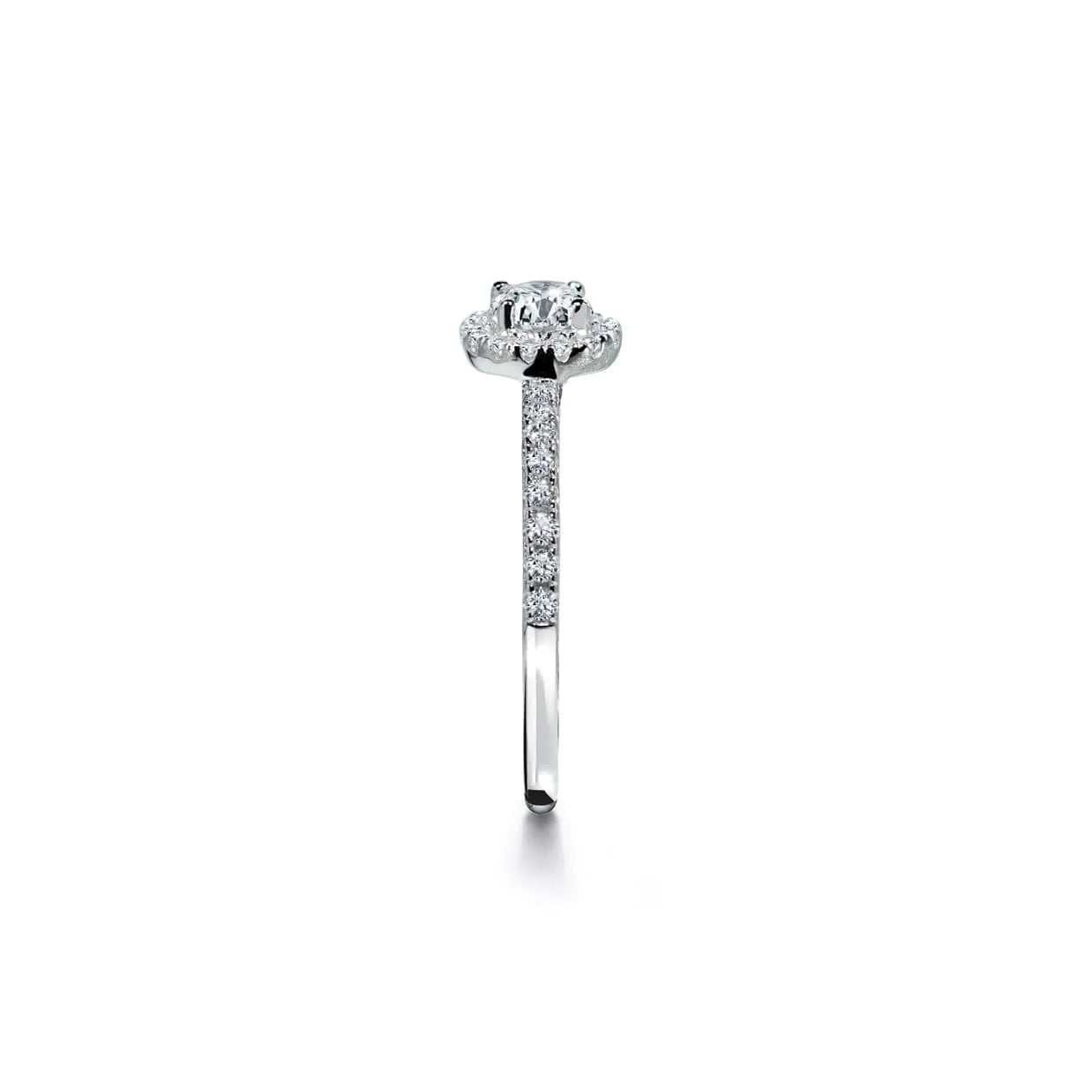 Klassisk rund halo forlovelsesring i hvidguld med diamantbånd