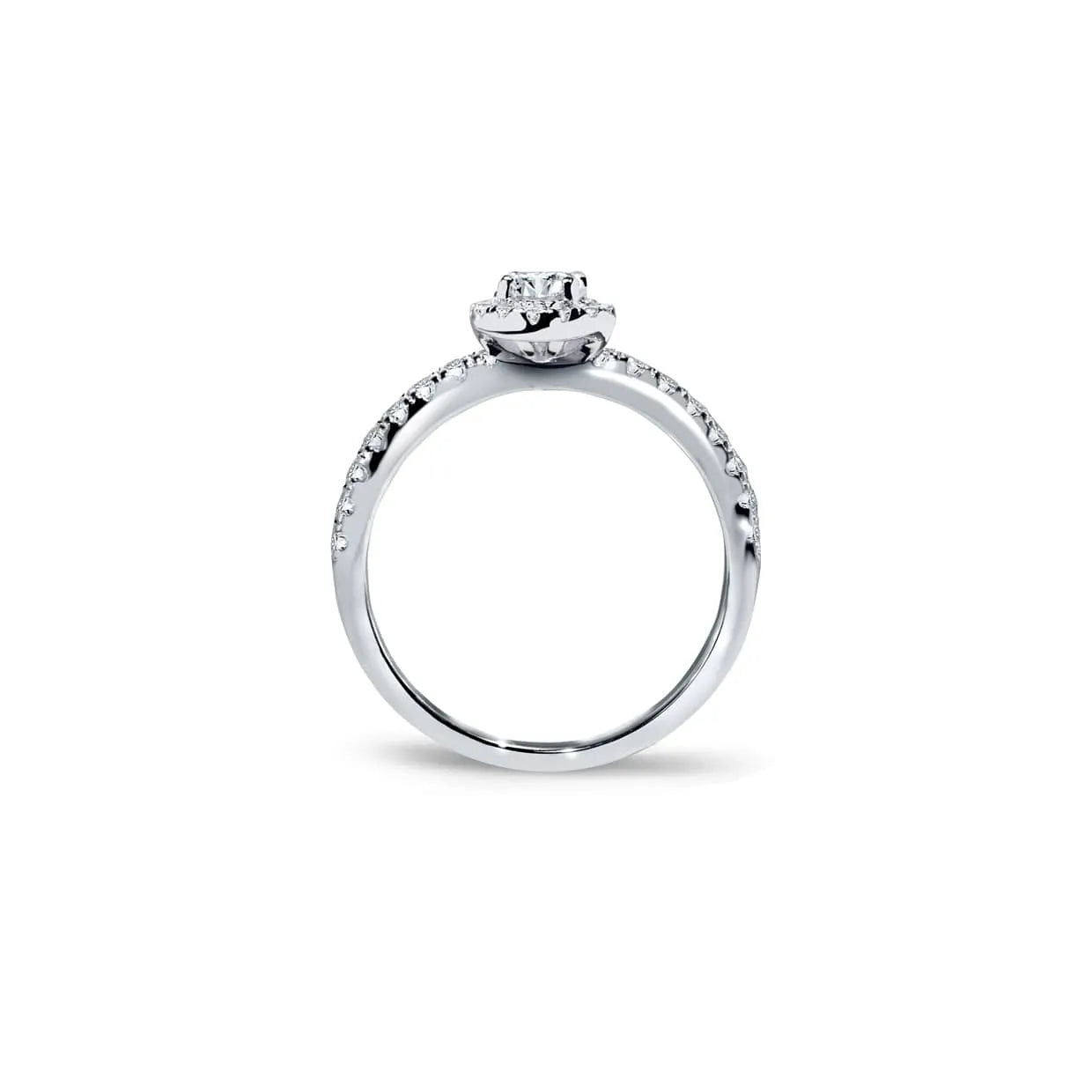 Klassisk rund halo forlovelsesring i hvidguld med diamantbånd