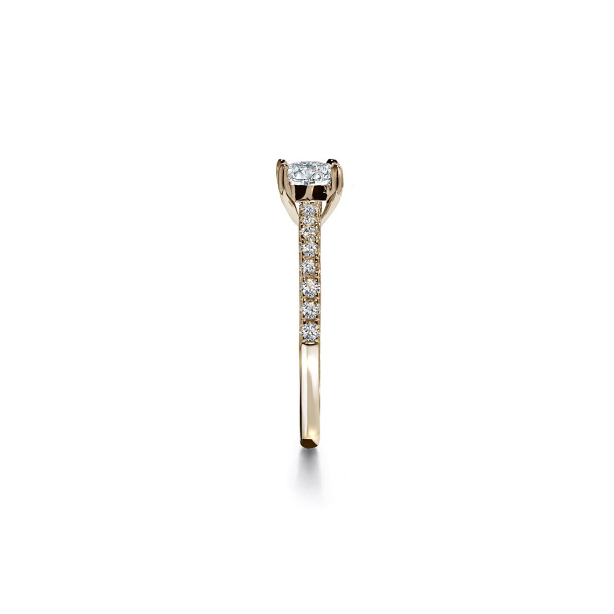Oxford round cut solitaire ring i guld
