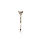 Oxford round cut solitaire ring i guld