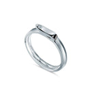 Equestrian ring
